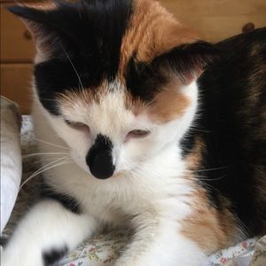 Meet your Posher, Robyn